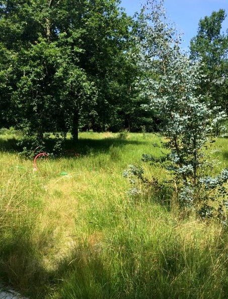 TERRAIN ORIGNE 86 000.jpg