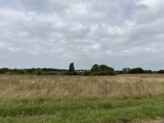Tauxigny
