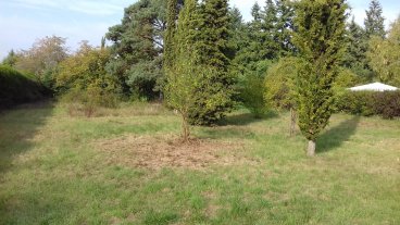 Saint-Maurice-sur-Fessard
