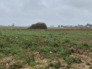 Sainte-Maure-de-Touraine