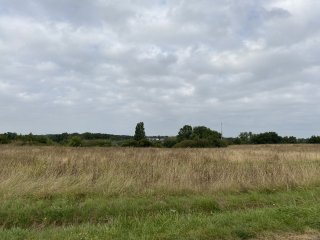 Tauxigny