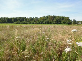 Saint-Maurice-sur-Fessard