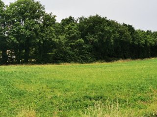 Chisseaux